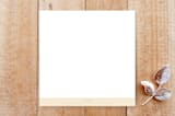 "Center Senior" - Stationery in Sand Dollar by Jessica Cheney - Back of Card