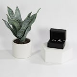 "Black Wood Ring Box - Double Slot" - Ring Boxes in black by Soulmatebox