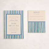 "Painted Stripes" - Mitzvah RSVP Cards in Sky by Teju Reval - With Invitation