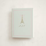 "Ooh La La" - Mitzvah Thank You Cards in Menthe by mo kelley - Front