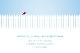 "Picket Fence" - Moving Announcements in White by Molly Lasee - Close-Up