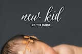 "New Kid On The Block" - Moving Announcements in Cotton by Carol Fazio - Close-Up
