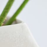 "Medium Formation Vase in Frost White" - Vases in white by Lauren Herzak Bauman