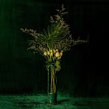 "Base Para Flores Green Vase" - Vases in green by Algo Studio