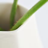 "Large Chisel Vase in Frost White" - Vases in white by Lauren Herzak Bauman