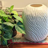 "Oval textured white vase" - Vases in white by Liz Vigoda