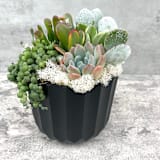 "The Black Pearl Live Succulent Garden" - Centerpieces and Tabletop Decor in black by Surfside Succulents