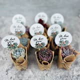 "Let Love Grow Succulent Favors in Burlap" - Favors in multicolorassorted-colors by Surfside Succulents