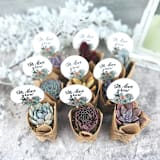 "Let Love Grow Succulent Favors in Burlap" - Favors in multicolorassorted-colors by Surfside Succulents