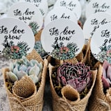 "Let Love Grow Succulent Favors in Burlap" - Favors in multicolorassorted-colors by Surfside Succulents