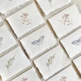 "Nature Set // Deckled Edge Cards" - Couple Gifts in natural by Jen Simpson