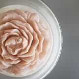 "Clear Peony Candle (Tan)" - Candles in brown by LiveYoung Candle Co.