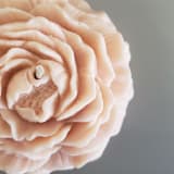 "Clear Peony Candle (Tan)" - Candles in brown by LiveYoung Candle Co.