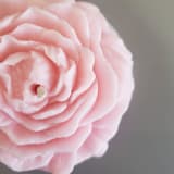 "Clear Peony Candle (Pink)" - Candles in pink by LiveYoung Candle Co.