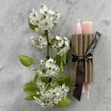 "6" Everyday Tapers (pair) Blush" - Candles in pink by Jessie Green