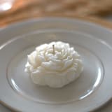 "Wax Peony Candle (White)" - Candles in white by LiveYoung Candle Co.