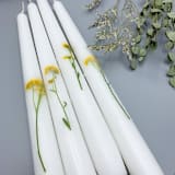 "Yellow Alyssum Pressed Flower White Taper Candle Set Of 4" - Candles in yellow by Christine OMalley