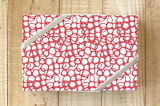 "Netted" - Wrapping Paper in Fire Engine by Makewells - Front