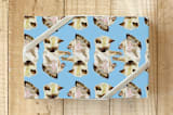 "Siamese Kitten Wrapping Paper" - Wrapping Paper in Sky blue by Lauren Rogoff - Front