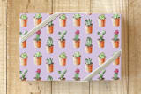 "Cactus Wrapping Paper" - Wrapping Paper in Lilac by Lauren Rogoff - Front