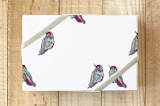 "hummingbird wrap" - Wrapping Paper in white by katrina berg - Front