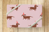 "Birthday Pawty" - Wrapping Paper in Dusty Rose by Rachel Roe - Front