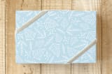 "Peaceful Pine and Berry" - Wrapping Paper in Ice by Jennifer Holbrook - Front