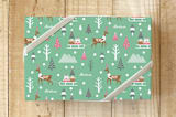 "Winter Delivery" - Wrapping Paper in mint green by Chi Hey Lee - Front