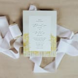 "Wedding Ribbon Sateen 1.5" Wide White" - Ribbons in white by Jordan Perry