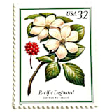 "Pacific Dogwood Postage Stamps | Flowering Trees | White Flower | Wedding Stamps | Vintage Unused USPS Postage 32c | Pack of 10" - Postage Stamps in white by Heritage Post House