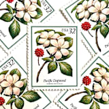 "Pacific Dogwood Postage Stamps | Flowering Trees | White Flower | Wedding Stamps | Vintage Unused USPS Postage 32c | Pack of 10" - Postage Stamps in white by Heritage Post House