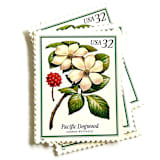 "Pacific Dogwood Postage Stamps | Flowering Trees | White Flower | Wedding Stamps | Vintage Unused USPS Postage 32c | Pack of 10" - Postage Stamps in white by Heritage Post House