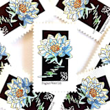 "Fragrant Water Lily Postage Stamps | American Wildflower Series | Light Blue Flower | Botanical | Vintage Unused USPS Postage 29c | Pack of 10" - Postage Stamps in blue by Heritage Post House
