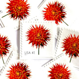 "Dahlia Postage Stamps | Beautiful Blooms Series | Red Flowers | Botanical | Wedding Stamps | Vintage Unused USPS Postage 41c | Pack of 10" - Postage Stamps in red by Heritage Post House