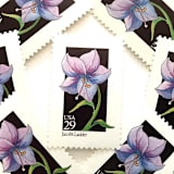"Jacob's Ladder Postage Stamps | American Wildflower Series | Purple Flower | Botanical | Vintage Unused USPS Postage 29c | Pack of 10" - Postage Stamps in purple by Heritage Post House