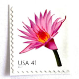 "Water Lily Postage Stamps | Beautiful Blooms Series | Pink Flowers | Vintage Unused USPS Postage 41c | Pack of 10" - Postage Stamps in pink by Heritage Post House