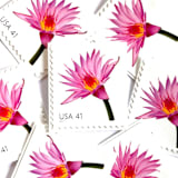 "Water Lily Postage Stamps | Beautiful Blooms Series | Pink Flowers | Vintage Unused USPS Postage 41c | Pack of 10" - Postage Stamps in pink by Heritage Post House