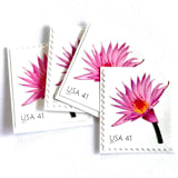"Water Lily Postage Stamps | Beautiful Blooms Series | Pink Flowers | Vintage Unused USPS Postage 41c | Pack of 10" - Postage Stamps in pink by Heritage Post House