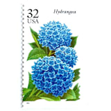 "Hydrangea Postage Stamps | Fall Garden Flowers | Garden Flowers Series | Botanical | Wedding Stamps | Vintage Unused USPS Postage 32c | Pack of 10" - Postage Stamps in blue by Heritage Post House