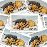 ""Kitten and Puppy" Postage Stamps | Christmas Issue | Unused USPS Postage 13c | Pack of 20" - Postage Stamps in multicolor by Heritage Post House
