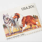 "20 Cent Alaskan Malamute & Collie Postage Stamps // Set of 10 // UNUSED" - Postage Stamps in beige by Flourish Fine Writing