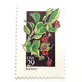 "Bearberry Postage Stamps | American Wildflower Series | Red Flower | Botanical | Vintage Unused USPS Postage 29c | Pack of 10" - Postage Stamps in red by Heritage Post House