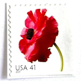 "Poppy Postage Stamps | Beautiful Blooms Series | Red Flowers | Botanical | Wedding Stamps | Vintage Unused USPS Postage 41c | Pack of 10" - Postage Stamps in red by Heritage Post House