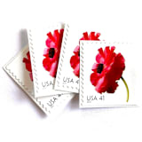"Poppy Postage Stamps | Beautiful Blooms Series | Red Flowers | Botanical | Wedding Stamps | Vintage Unused USPS Postage 41c | Pack of 10" - Postage Stamps in red by Heritage Post House