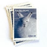 ""Arctic Hare" Postage Stamps | Arctic Animals Series | Unused USPS Postage 33c | Pack of 10" - Postage Stamps in white by Heritage Post House
