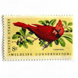 ""Cardinal" Postage Stamps | Christmas Holidays | Wildlife Conservation Series | Unused USPS Postage 8c | Pack of 10" - Postage Stamps in red by Heritage Post House