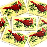 ""Cardinal" Postage Stamps | Christmas Holidays | Wildlife Conservation Series | Unused USPS Postage 8c | Pack of 10" - Postage Stamps in red by Heritage Post House