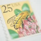 "25 Cent Honeybee Postage Stamps // Set of 10 // UNUSED Vintage Stamps" - Postage Stamps in yellow by Flourish Fine Writing
