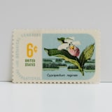 "Vintage Unused Stamps - Lady's Slipper Orchid,  Botanical Collection, 6 cent - Set of 5" - Postage Stamps in multicolor by Tablo Post