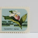 "Vintage Unused Stamps - Lady's Slipper Orchid,  Botanical Collection, 6 cent - Set of 5" - Postage Stamps in multicolor by Tablo Post
